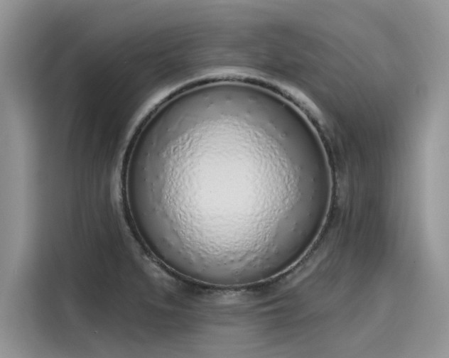 X0000116111279200911301115