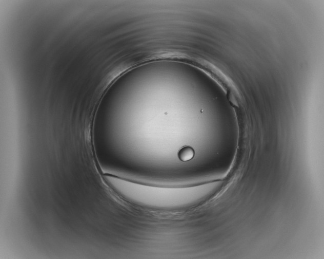 X0000116111281200911301115