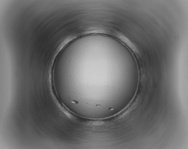 X0000116111282200911301115