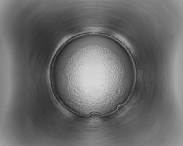 X0000116111283200911301115