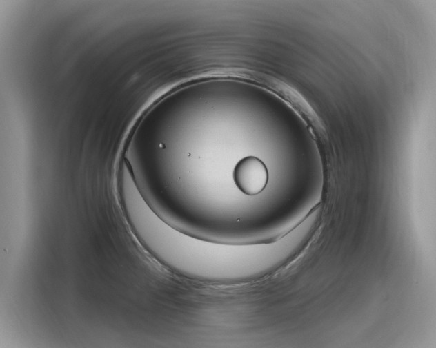 X0000116111284200911301115