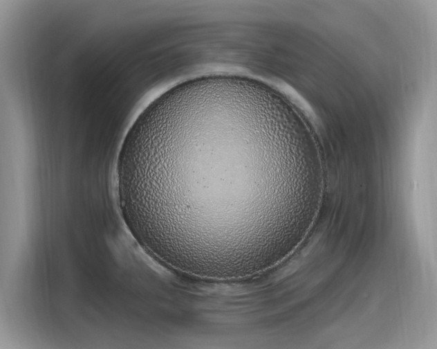 X0000116111287200911301115