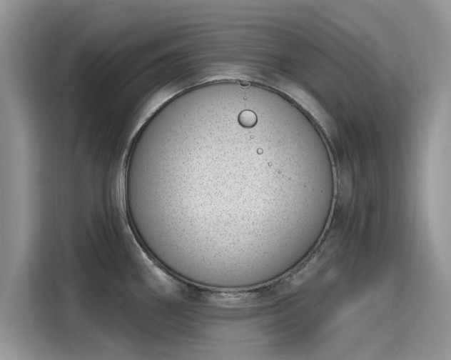 X0000116111290200911301115