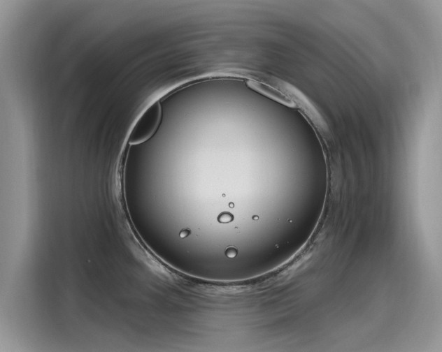 X0000116111292200911301115