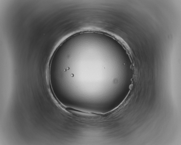 X0000116111295200911301115