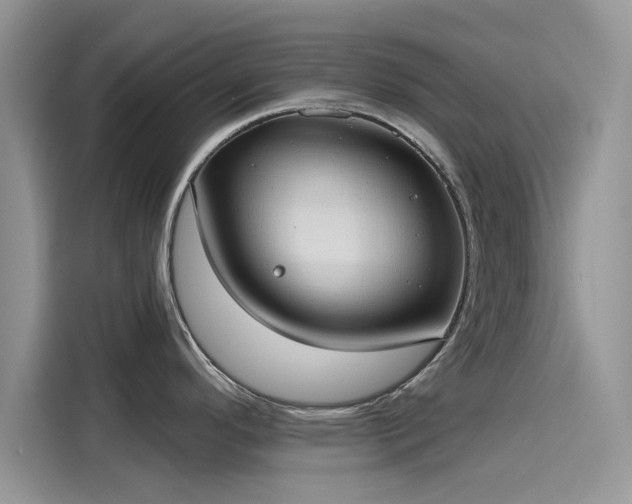 X0000116111296200911301115