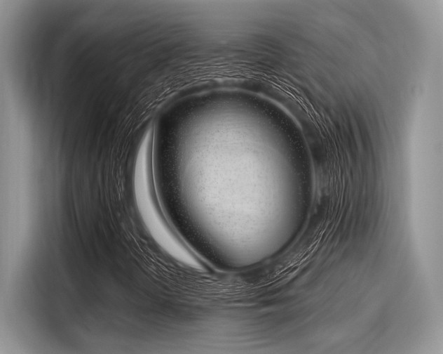 X0000116111298200911301115