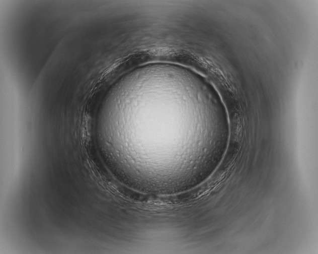 X0000116111301200911301115