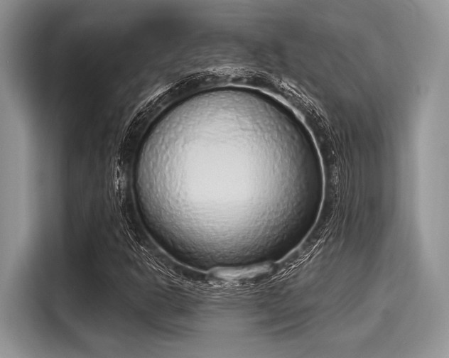 X0000116111302200911301115