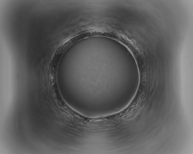 X0000116111303200911301115