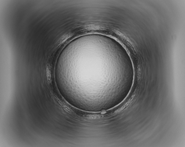 X0000116111305200911301115