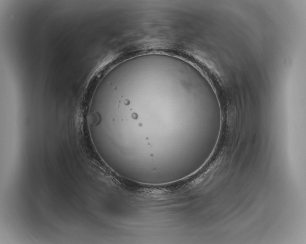 X0000116111309200911301115