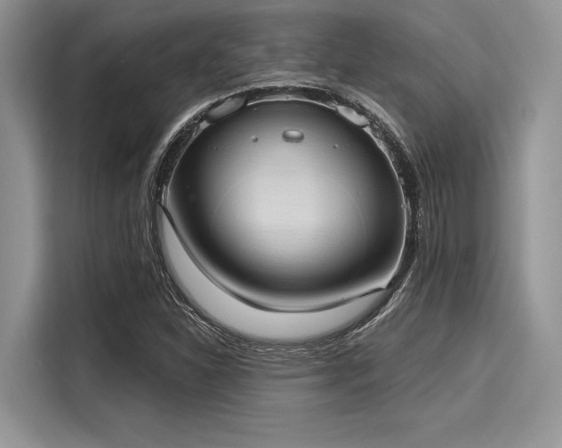 X0000116111310200911301115