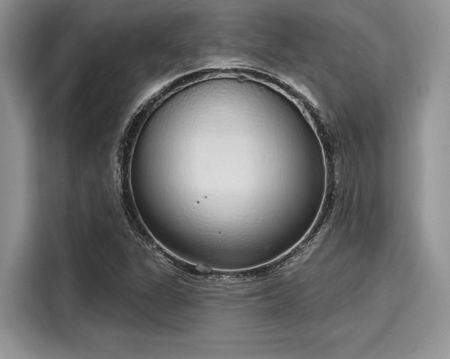 X0000116111311200911301115