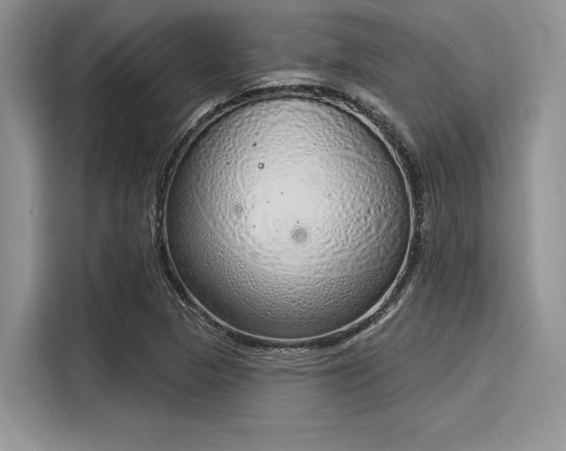 X0000116111313200911301115