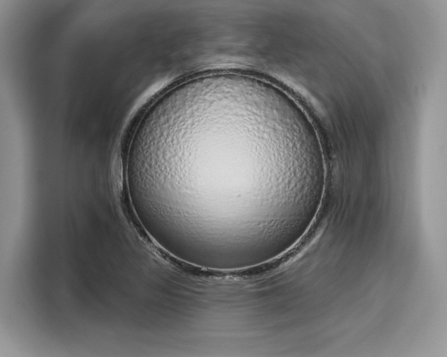 X0000116111317200911301115