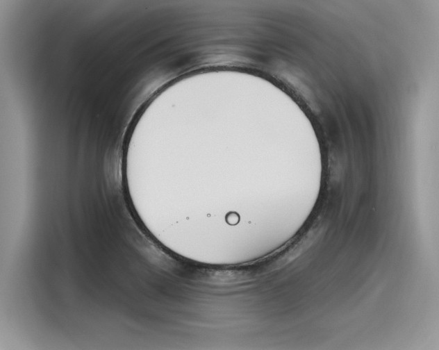 X0000116111322200911301115