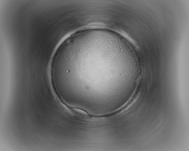 X0000116111325200911301115