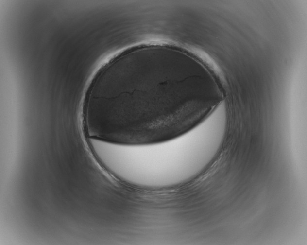 X0000116111327200911301115