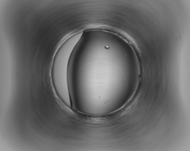 X0000116111330200911301115