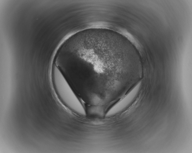 X0000116111331200911301115