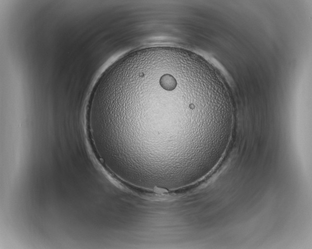 X0000116111333200911301115