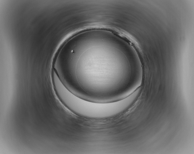 X0000116111334200911301115