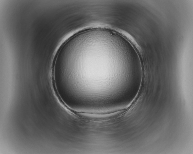 X0000116111335200911301115