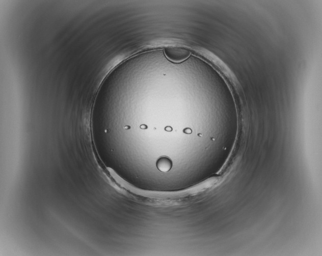 X0000116111337200911301115