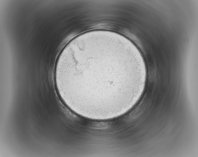 X0000116111338200911301115