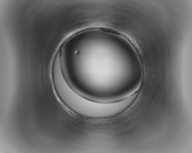 X0000116111342200911301115