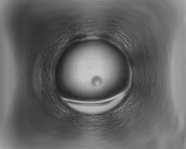 X0000116111345200911301115