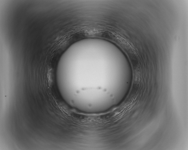 X0000116111346200911301115