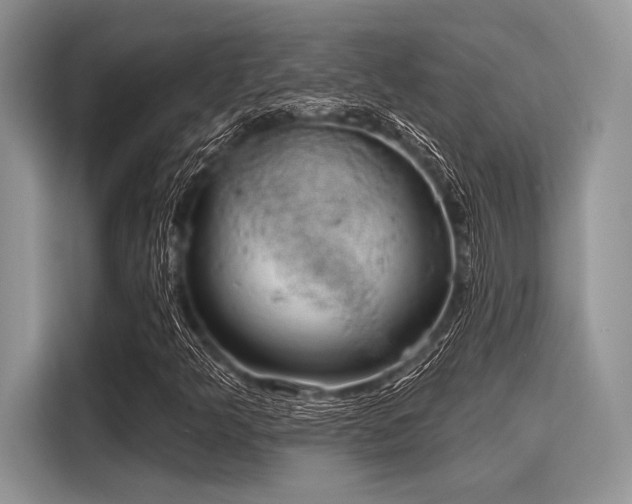 X0000116111349200911301115