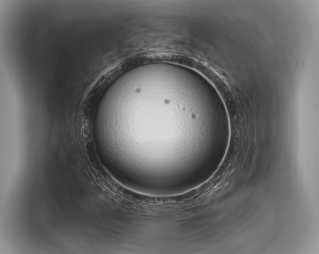 X0000116111351200911301114