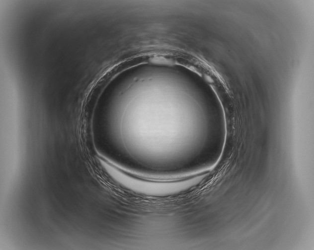 X0000116111352200911301114