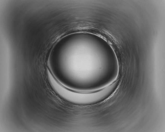 X0000116111353200911301114