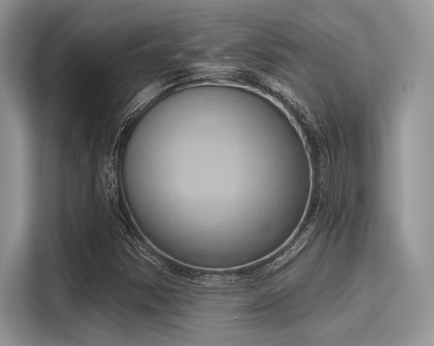 X0000116111354200911301114