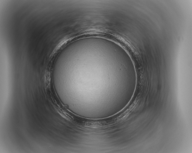 X0000116111355200911301114