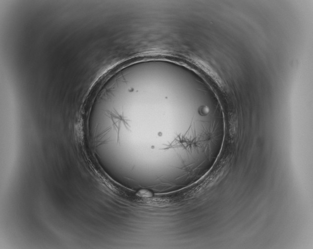 X0000116111356200911301114