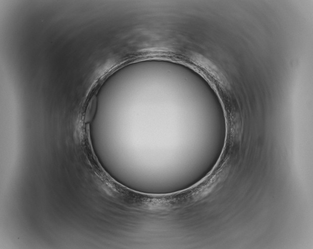 X0000116111357200911301114