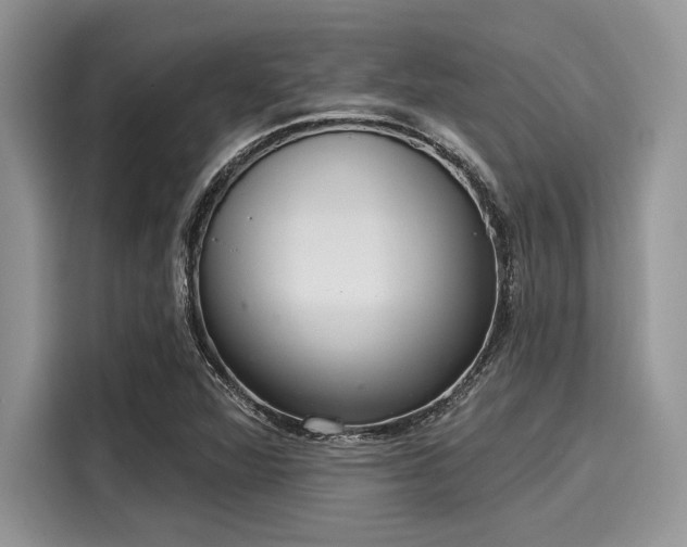 X0000116111360200911301114