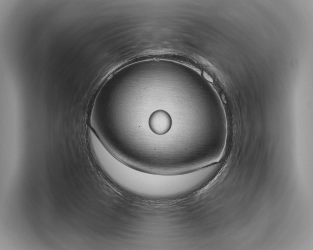 X0000116111361200911301114