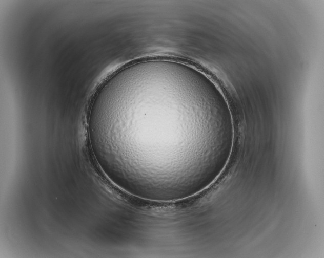 X0000116111363200911301114