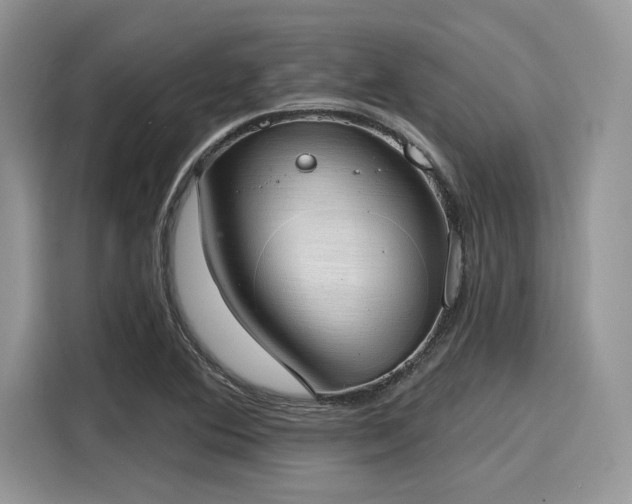 X0000116111364200911301114