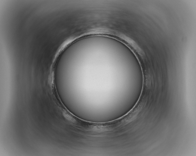 X0000116111366200911301114