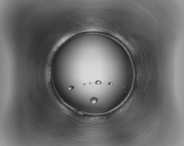 X0000116111367200911301114