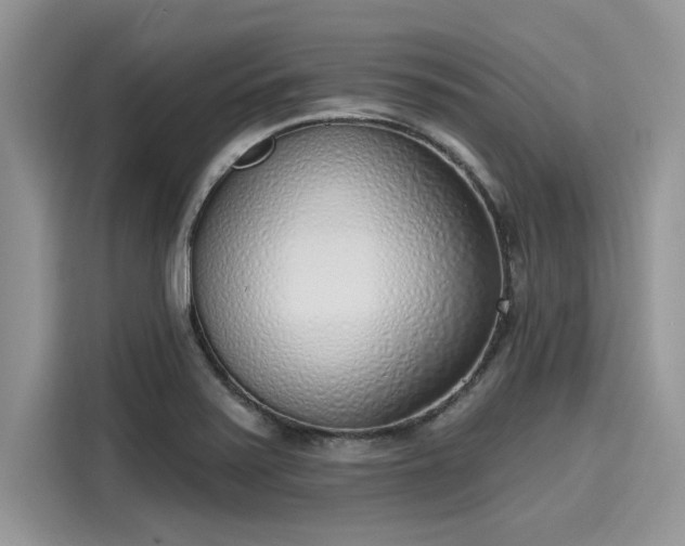 X0000116111371200911301114