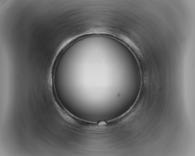 X0000116111372200911301114