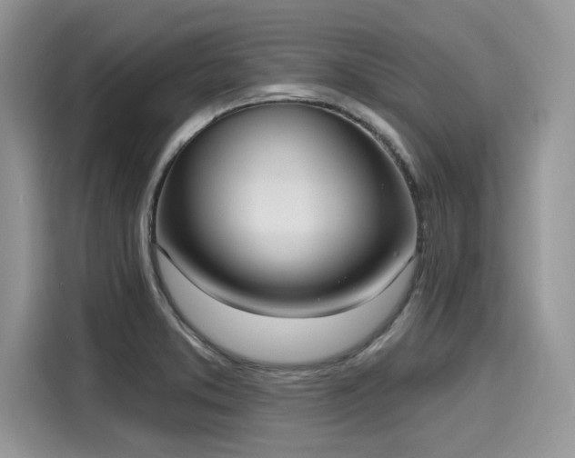 X0000116111373200911301114